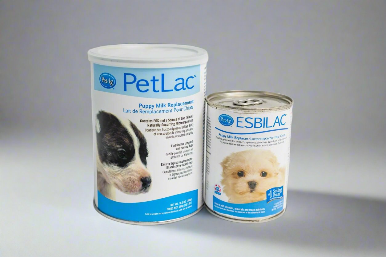 Newborn puppy milk replacement best sale