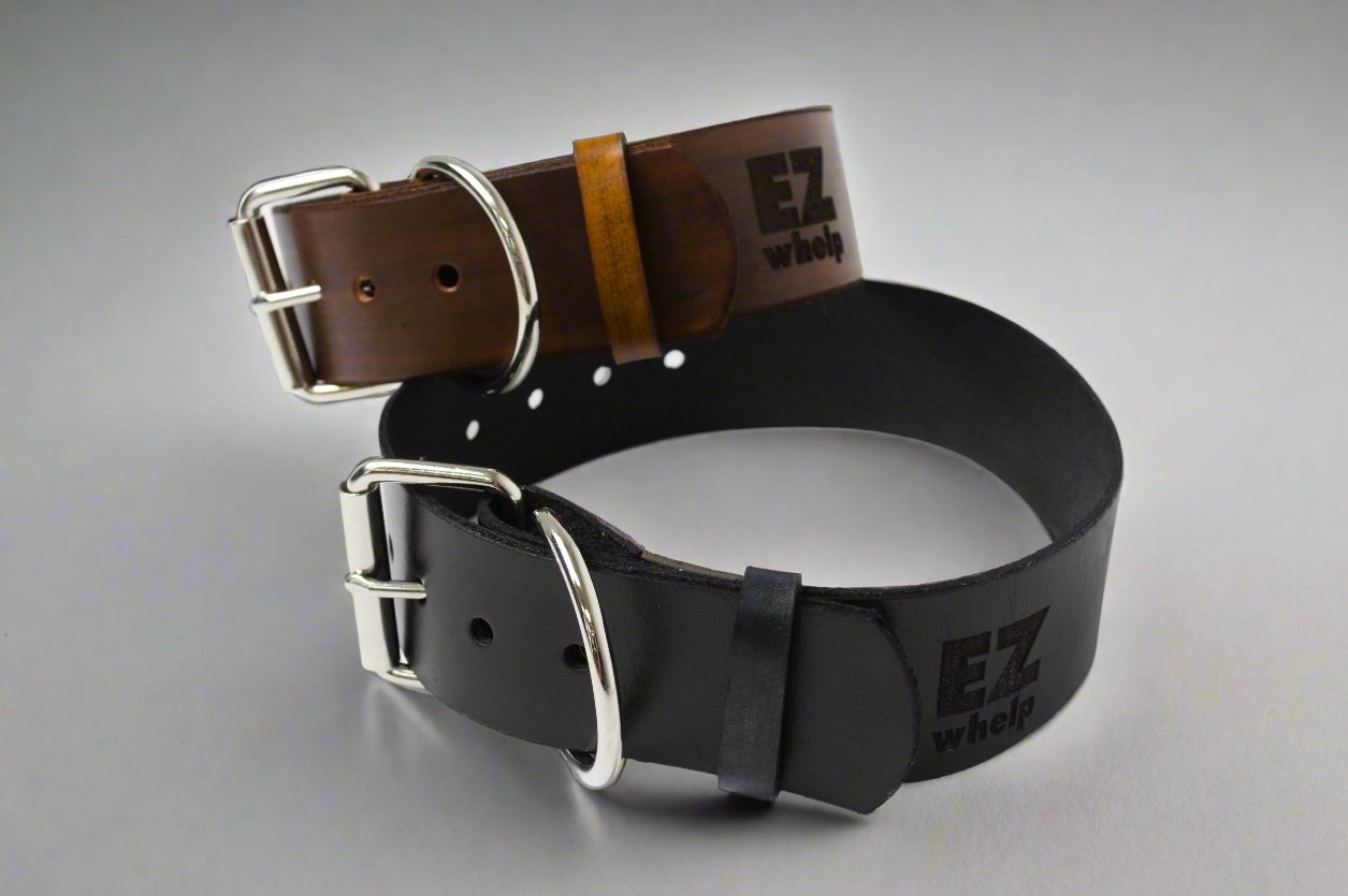 Leather Dog Collar