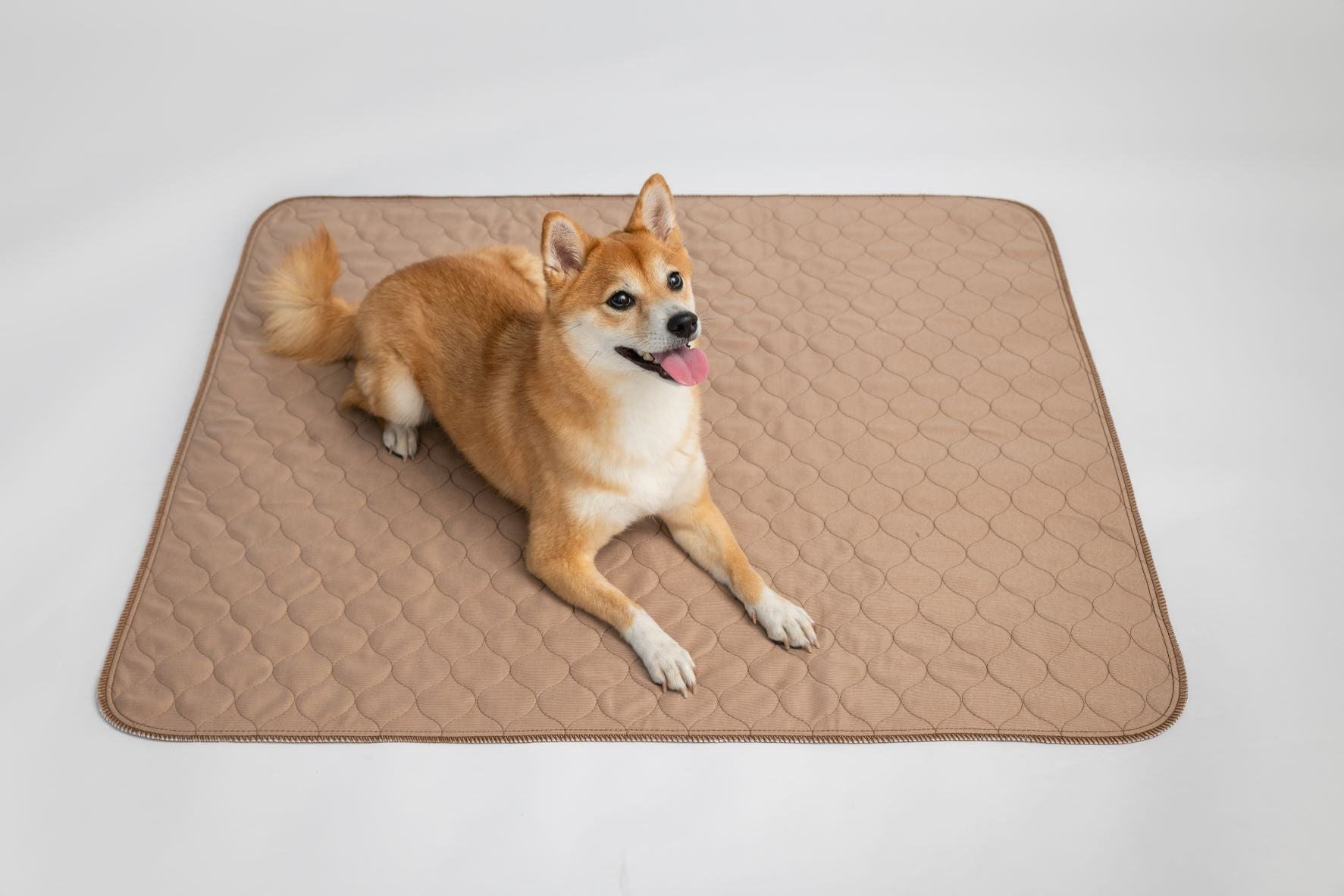 Brown Pad/Mat